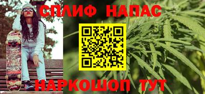 прущие грибы Будённовск