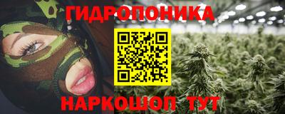 прущие грибы Будённовск