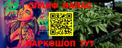 прущие грибы Будённовск