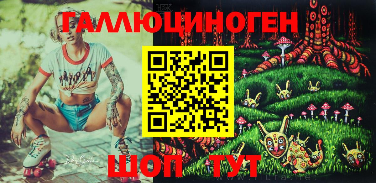 Электрогорск  Псилоцибиновые грибы ЛСД  Вход с VPN  Псилоцибиновые грибы Cubensis 