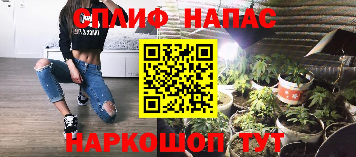 Бошки Шишки семена Электрогорск